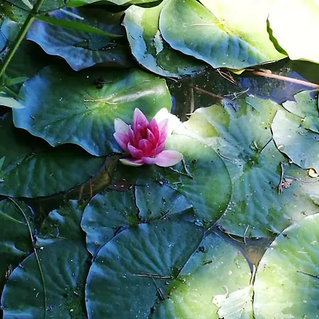 Ferienwohnung-kiefer * Hillscheid