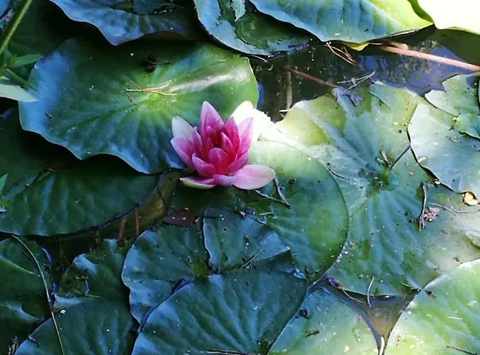 Ferienwohnung-kiefer * Hillscheid