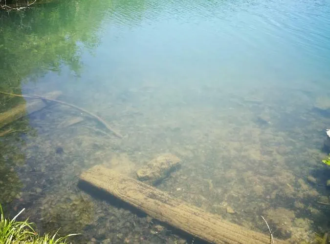 Ferienwohnung-kiefer Lejlighed *